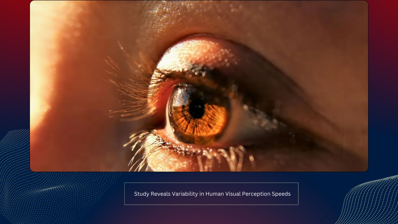 Study Reveals Variability in Human Visual Perception Speed 1 Study Reveals Variability in Human Visual Perception Speeds